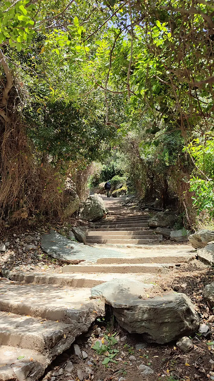 Паломник верхом на муле на дороге к скиту святой Анны на Афоне